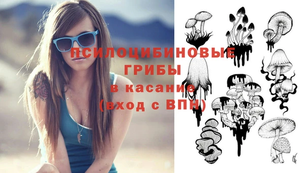 ALPHA PVP Алексин